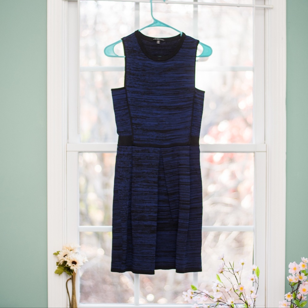 Walter Baker blue and black stretchy knit dress